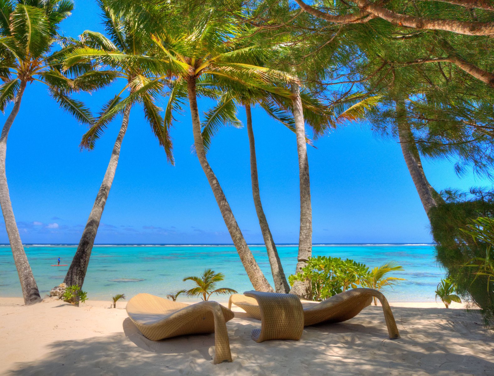 Little Polynesian
