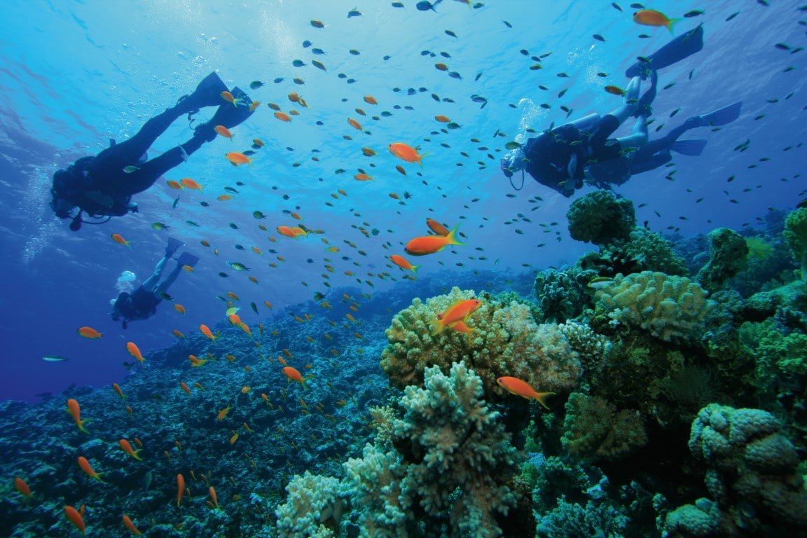 Uepi Island