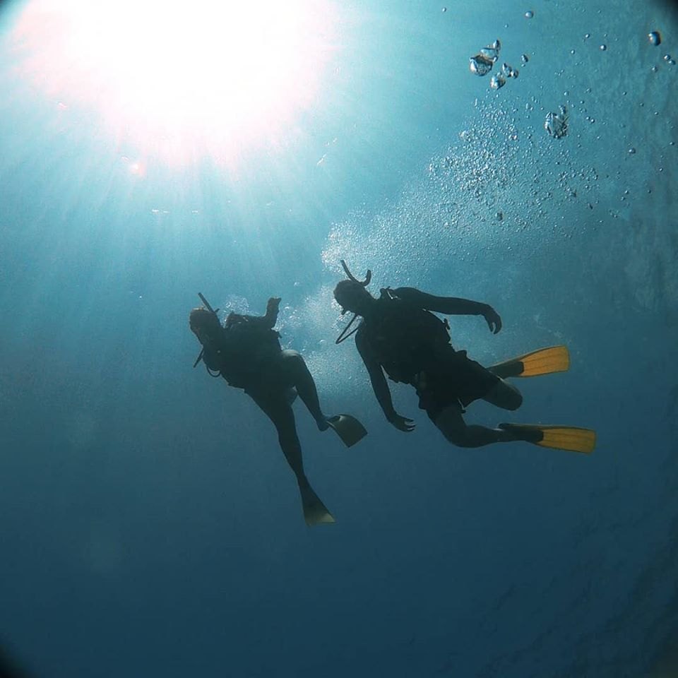 Samoa Dive & Snorkel