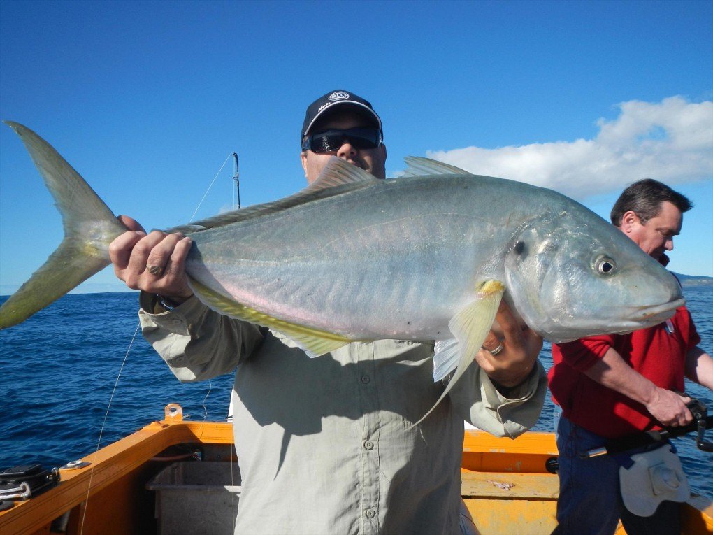 Advance Fishing, Cruising & Kayaking