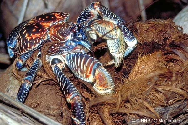 Discover Marine and Wildlife