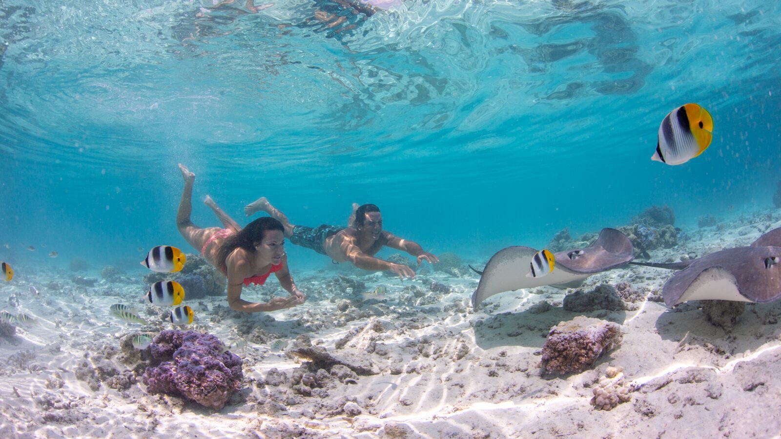 Moana Adventure Tours