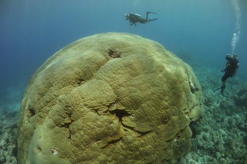 The National Marine Sanctuary of American Samoa