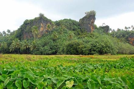 Makatea Cliff