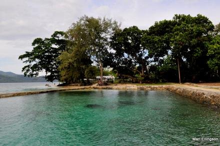 Samarai Island