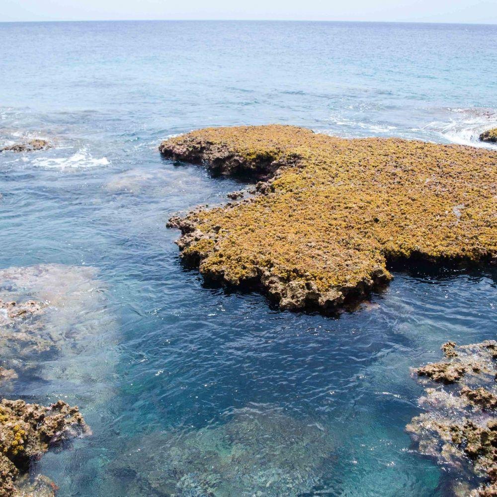 Tuaati Rock Pool