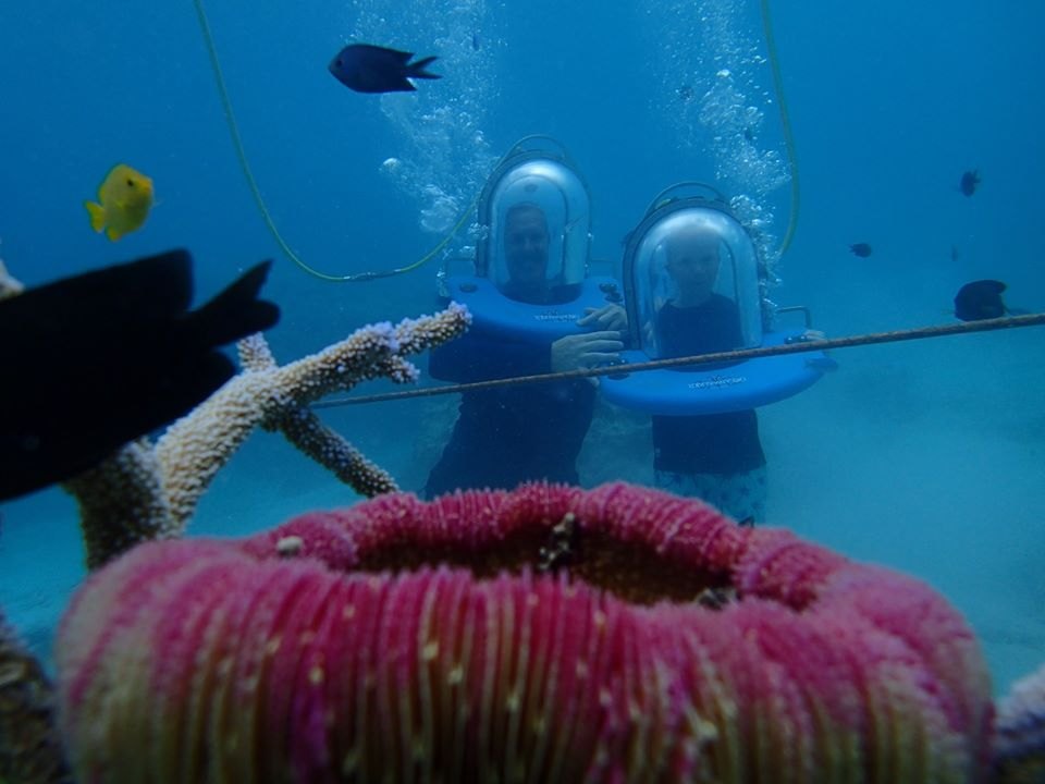 Ocean Walker