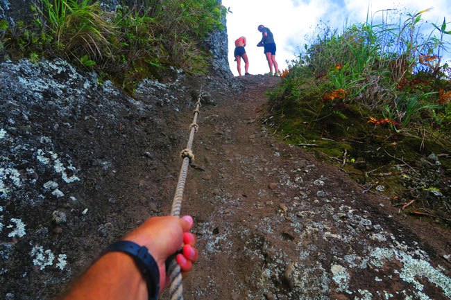 The Needle Trek