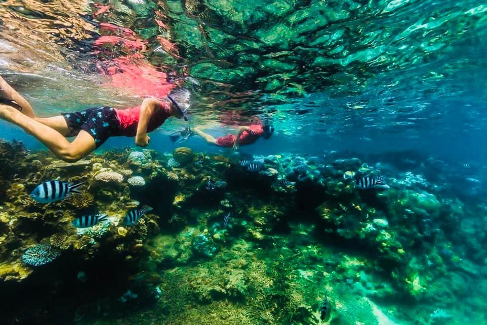 Glass Bottom Boat Tour (Hideaway Resort)