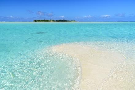 Honeymoon Island