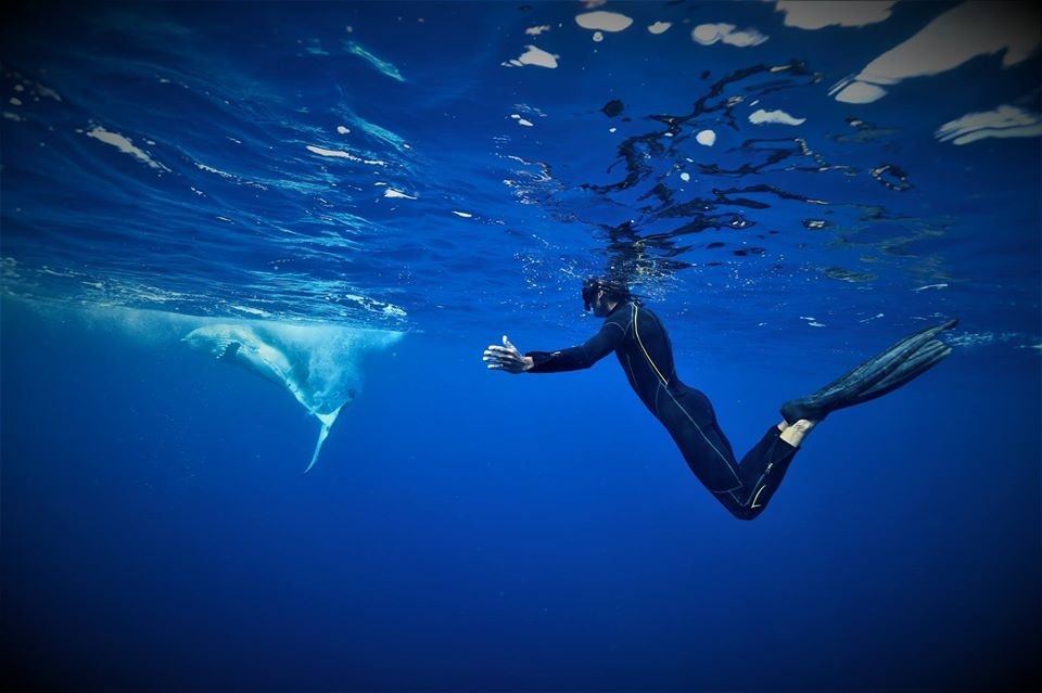 Scubapiti Moorea