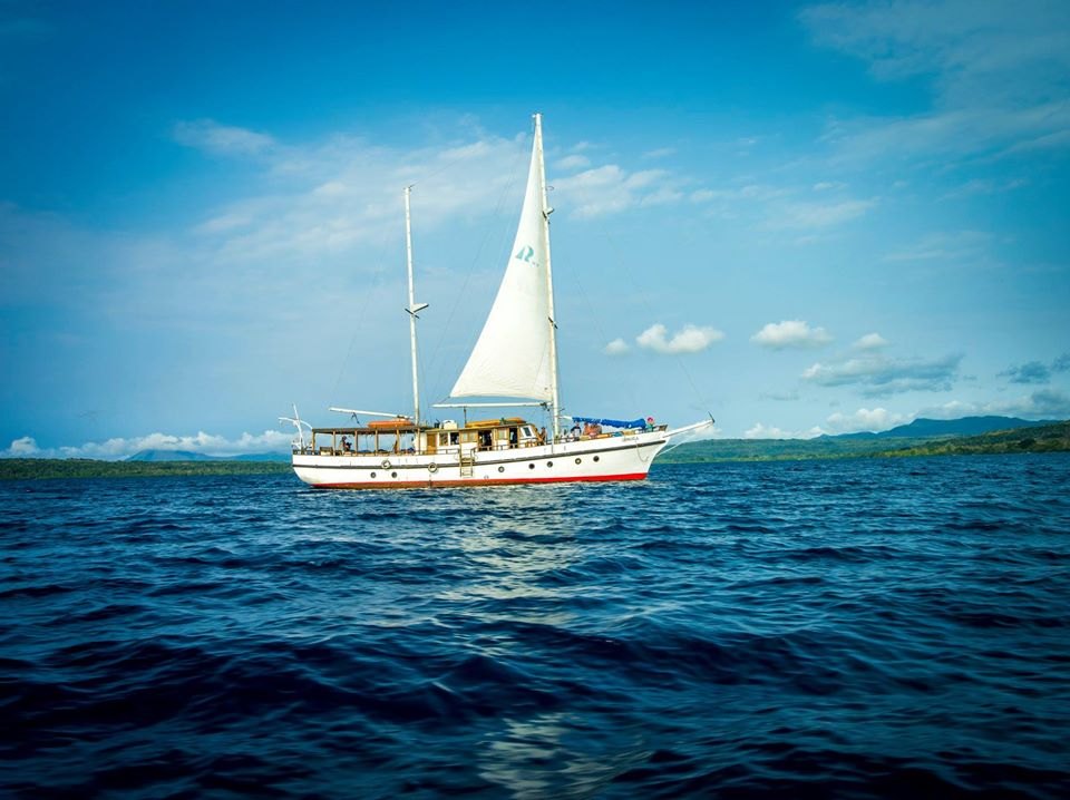 Coongoola Day Cruises