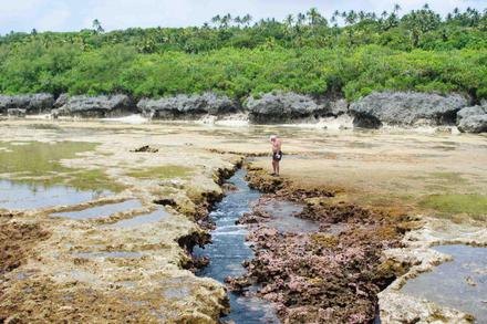 Tuaati Rock Pool