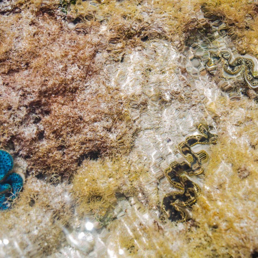Tuaati Rock Pool