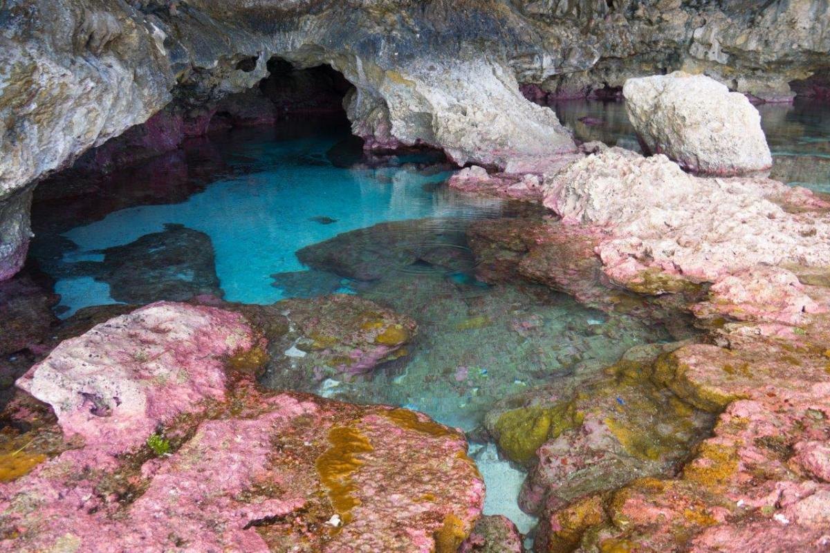 Limu Pools