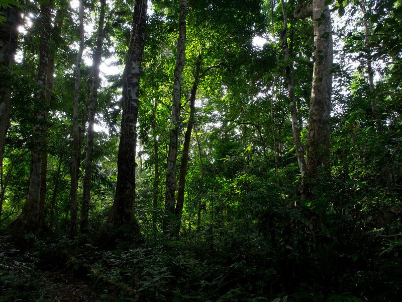 Vatthe Conservation Area 