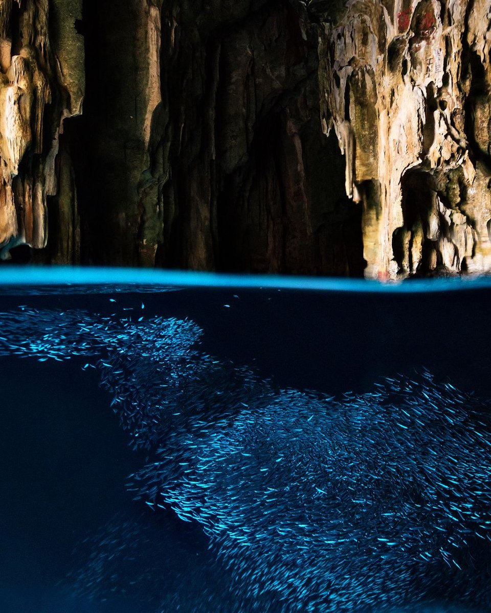Swallows Cave