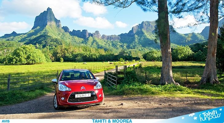 Avis Bora Bora