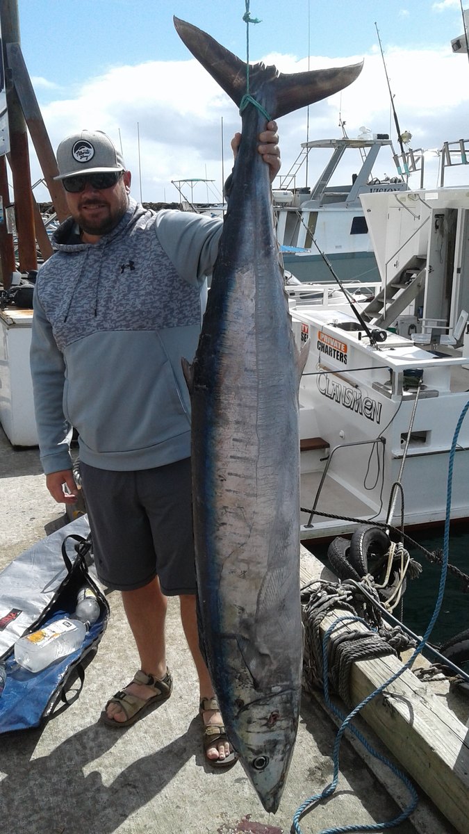 Blue Water Tours (Fishing, Charters, Whale Watching)