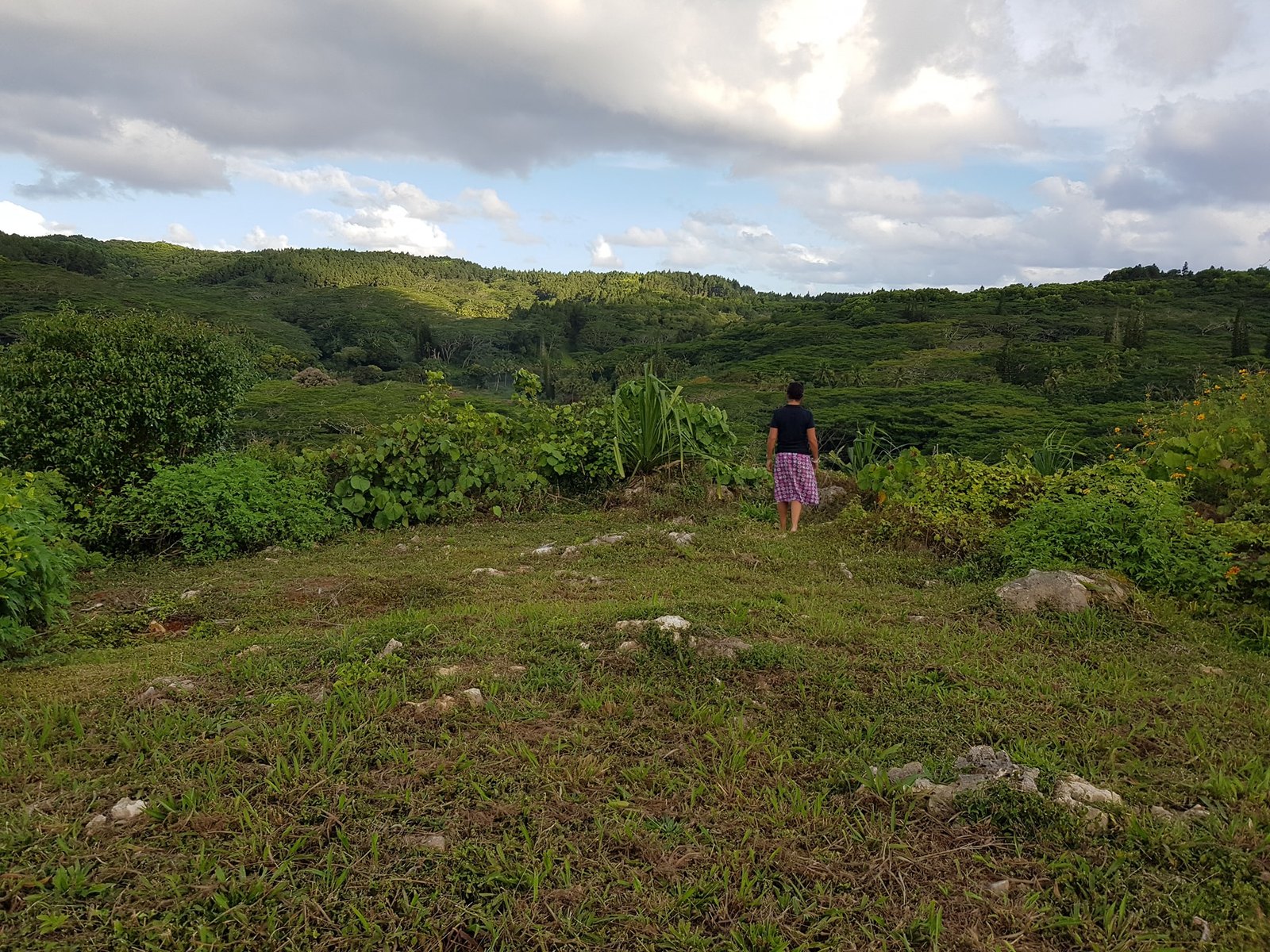 Te Pa'ata Lookout