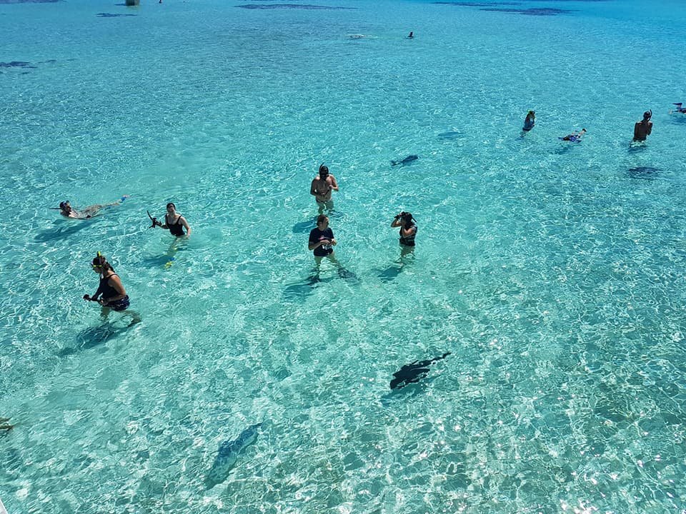 Bishops Cruises