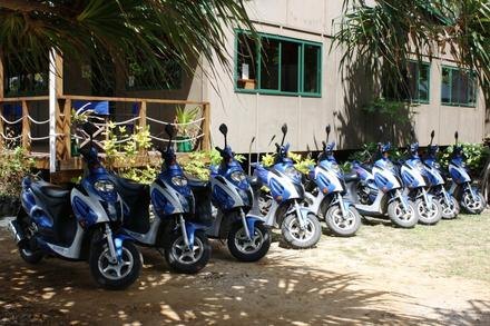 Popoara Rentals
