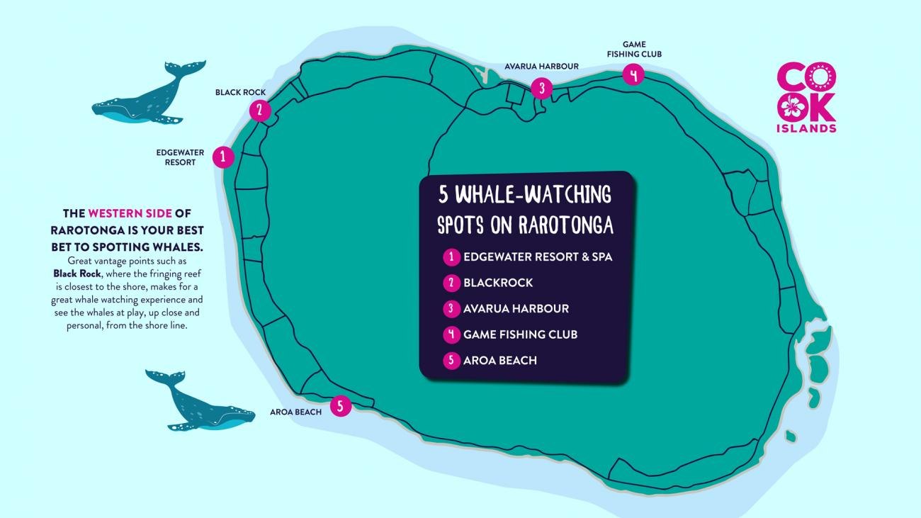 Whale Watching (seasonal)