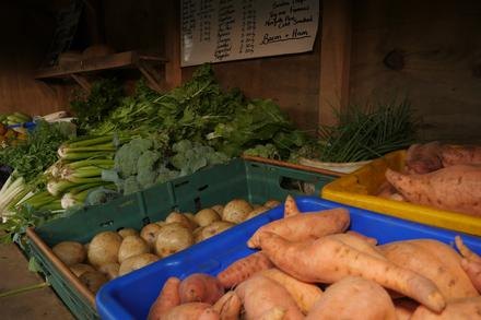 Farmer's markets