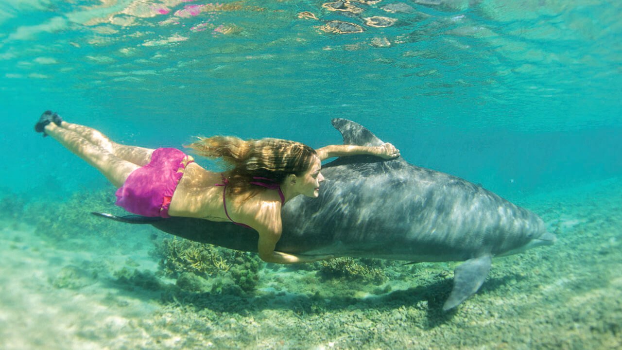 Moorea Dolphin Centre