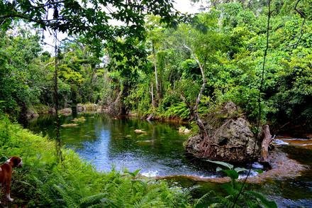 Eden on the River