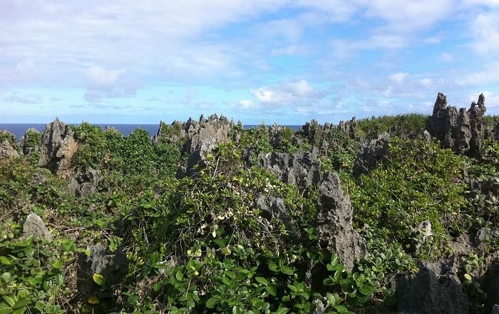 Huvalu Forest Conservation Area