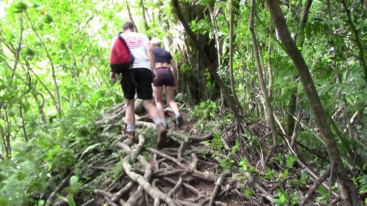 Cross Island Trek