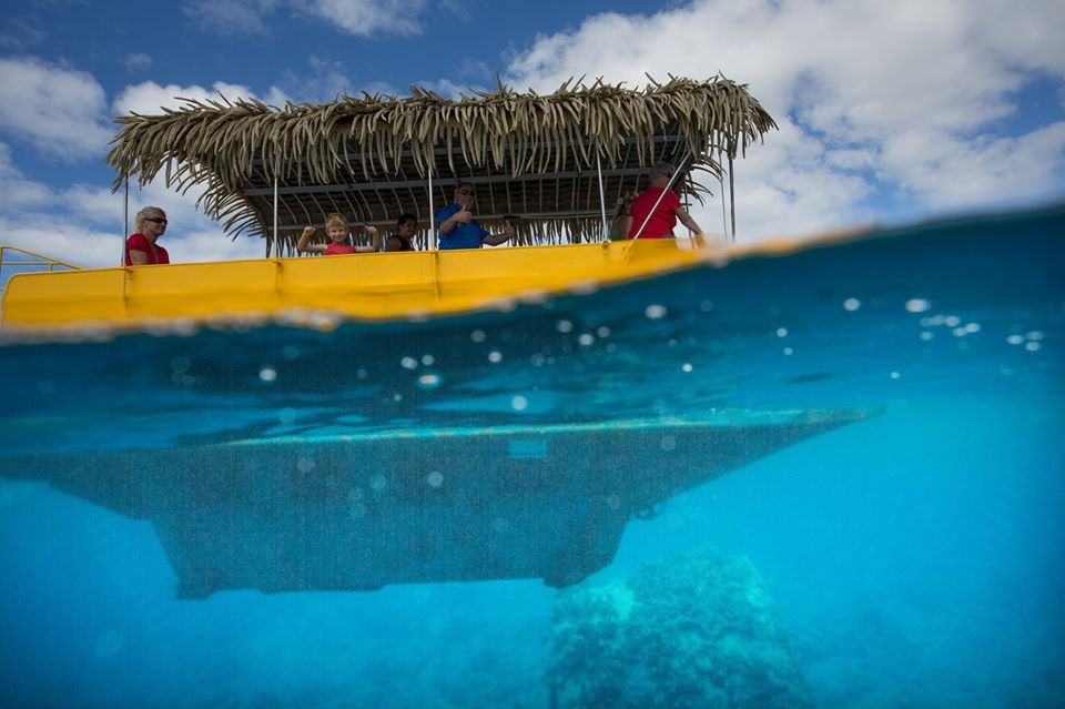 Raro Reef Sub