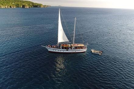 Coongoola Day Cruises