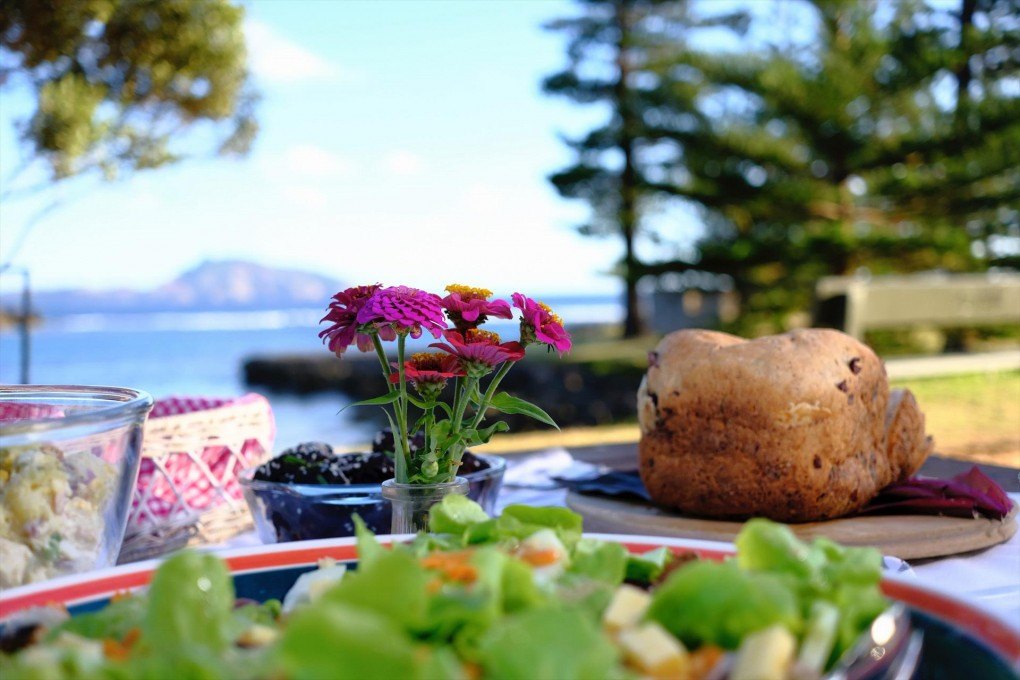 Picnic in Paradise - Norfolk Island