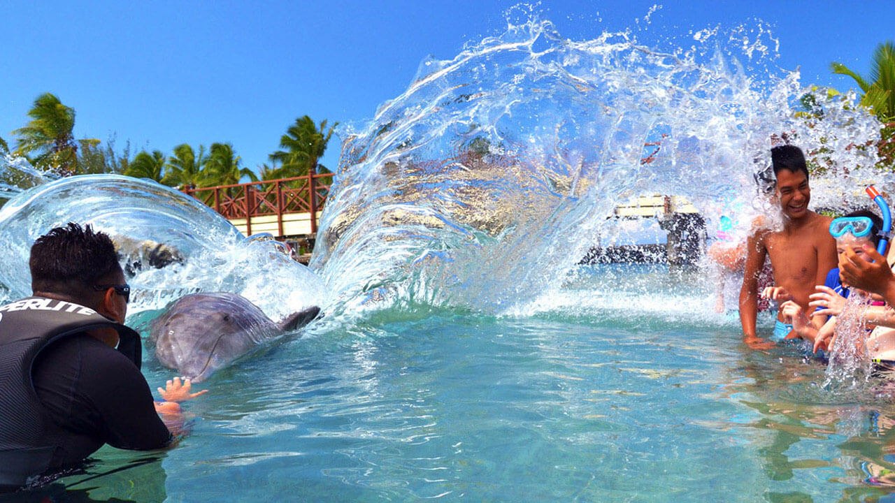 Moorea Dolphin Centre