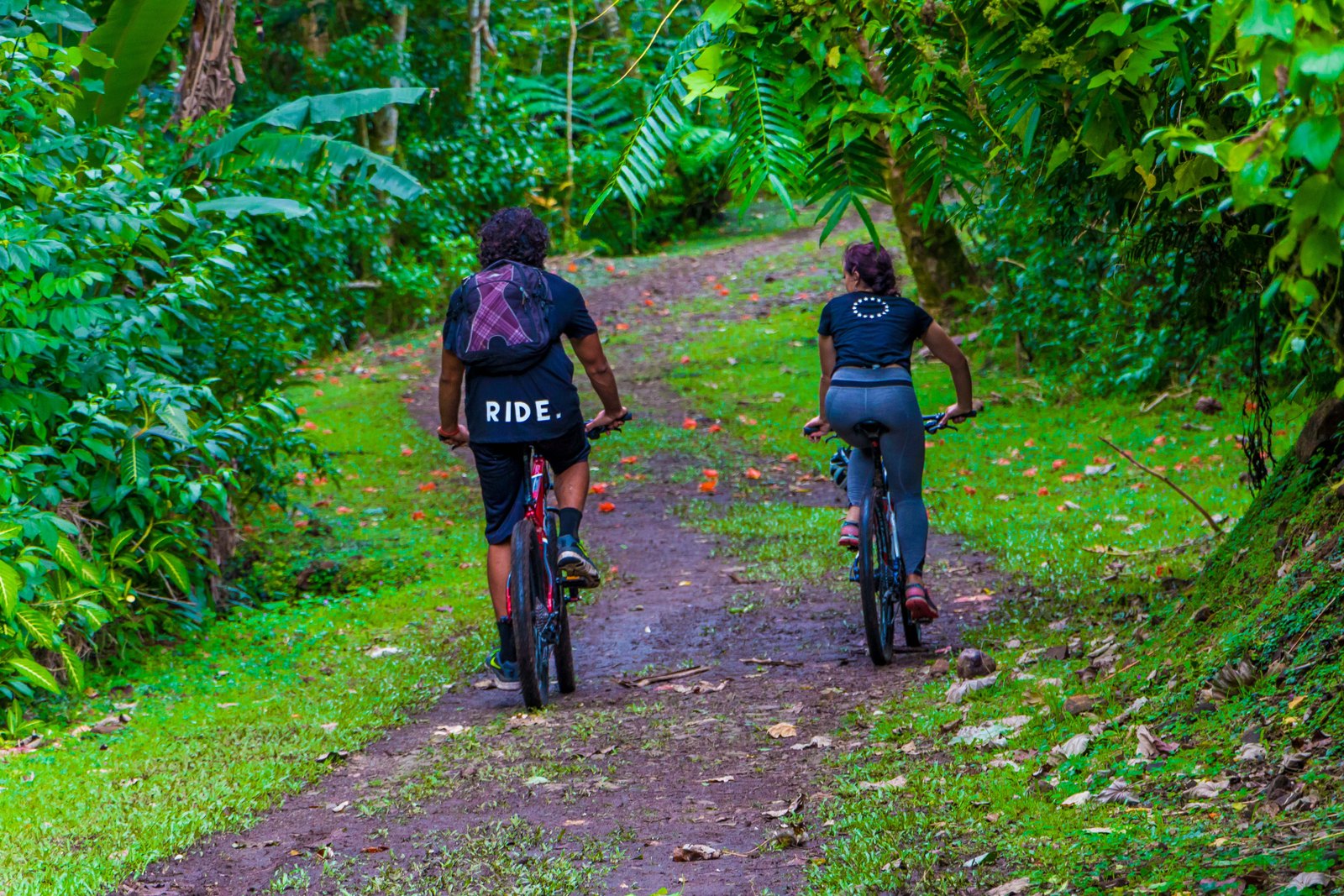 Ride Rarotonga