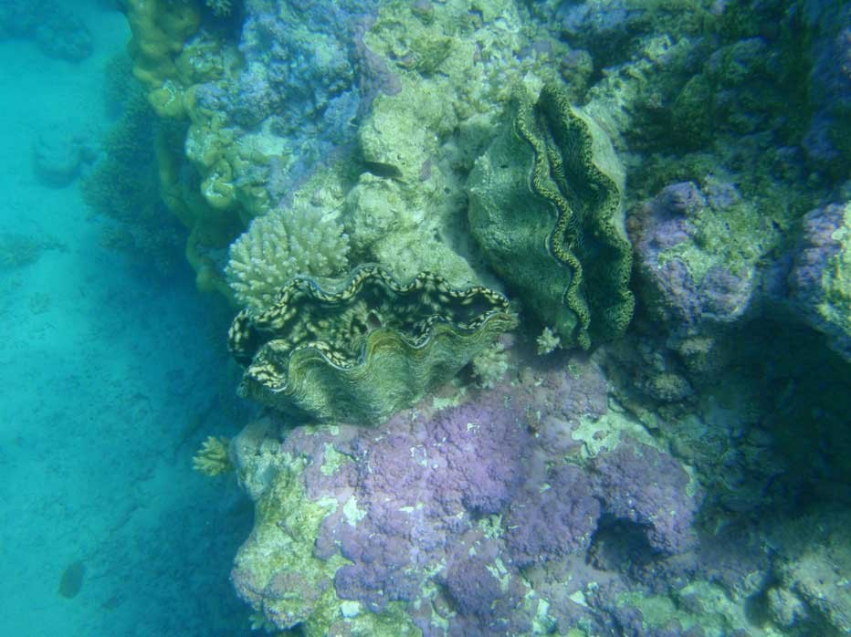 Teking Lagoon Tours