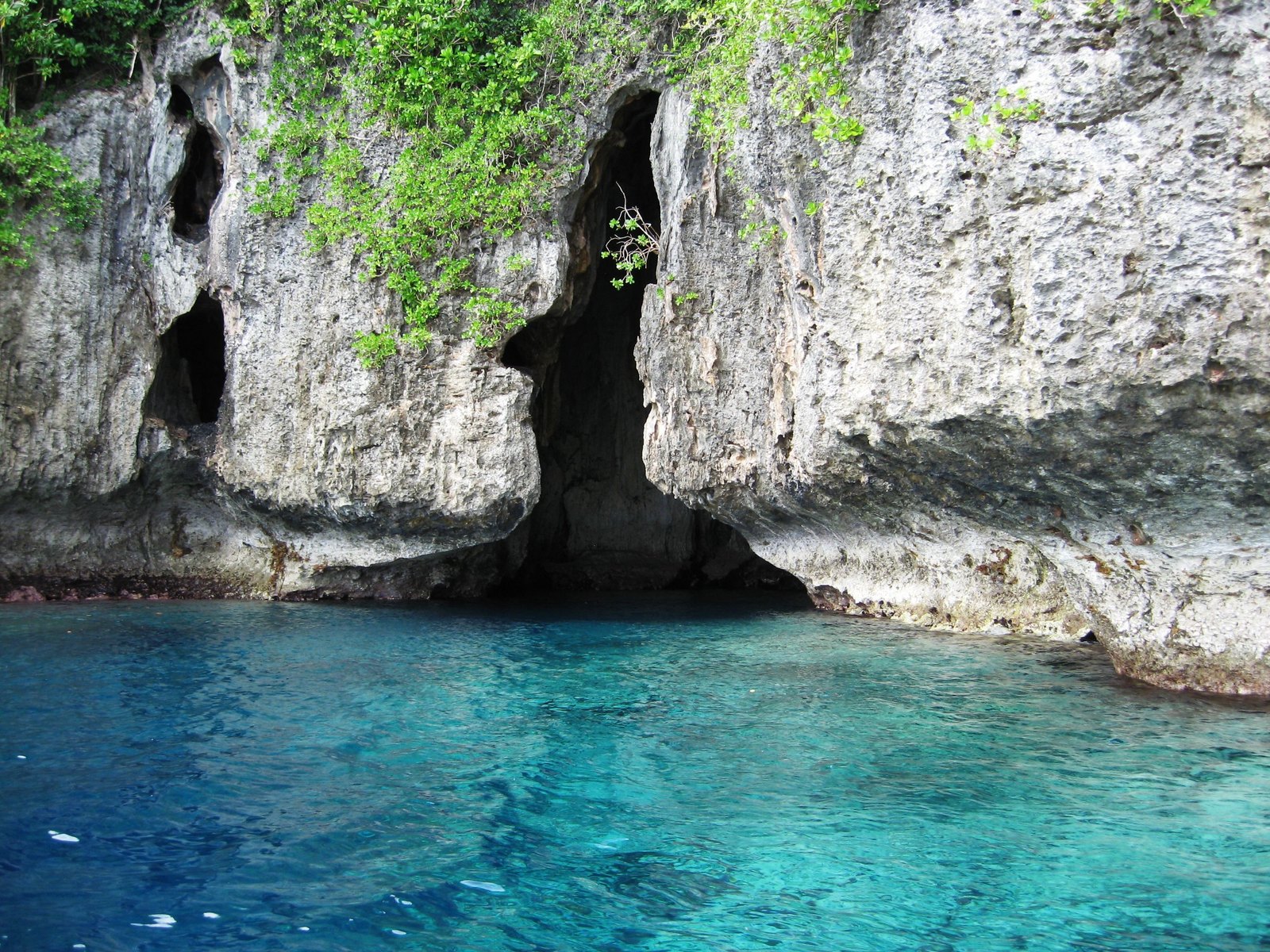 Swallows Cave