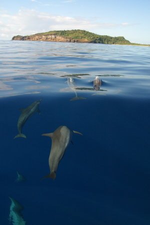 The National Marine Sanctuary of American Samoa