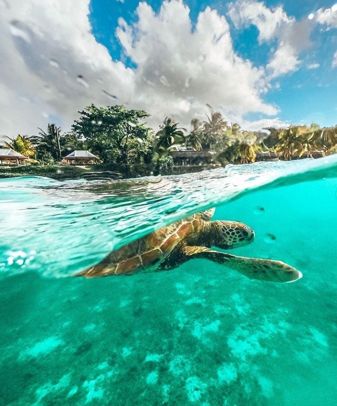 Samoa Tourism