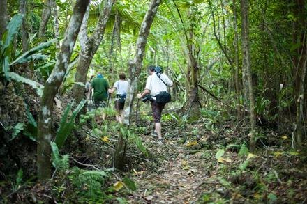 Vai Momoiri Track