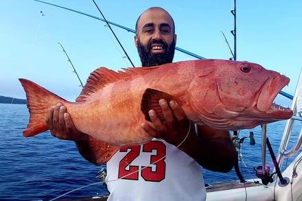 Blue Marlin Fishing Charters