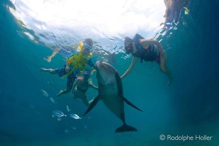Moorea Dolphin Centre