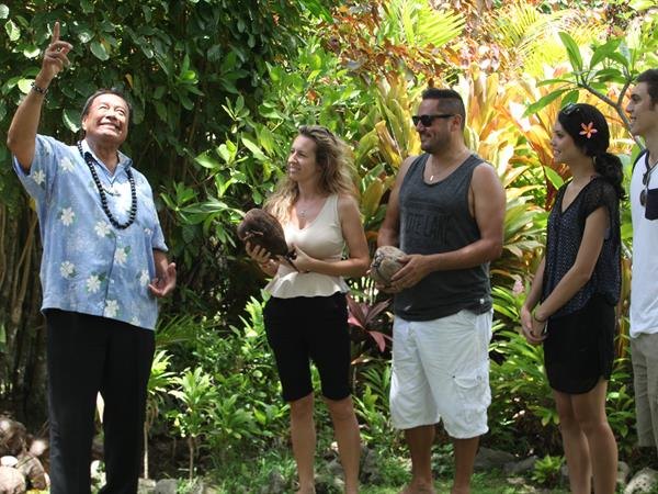Island Discovery Tour (Raro Tours)