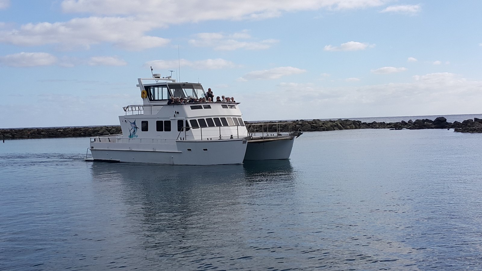 Blue Water Tours (Fishing, Charters, Whale Watching)