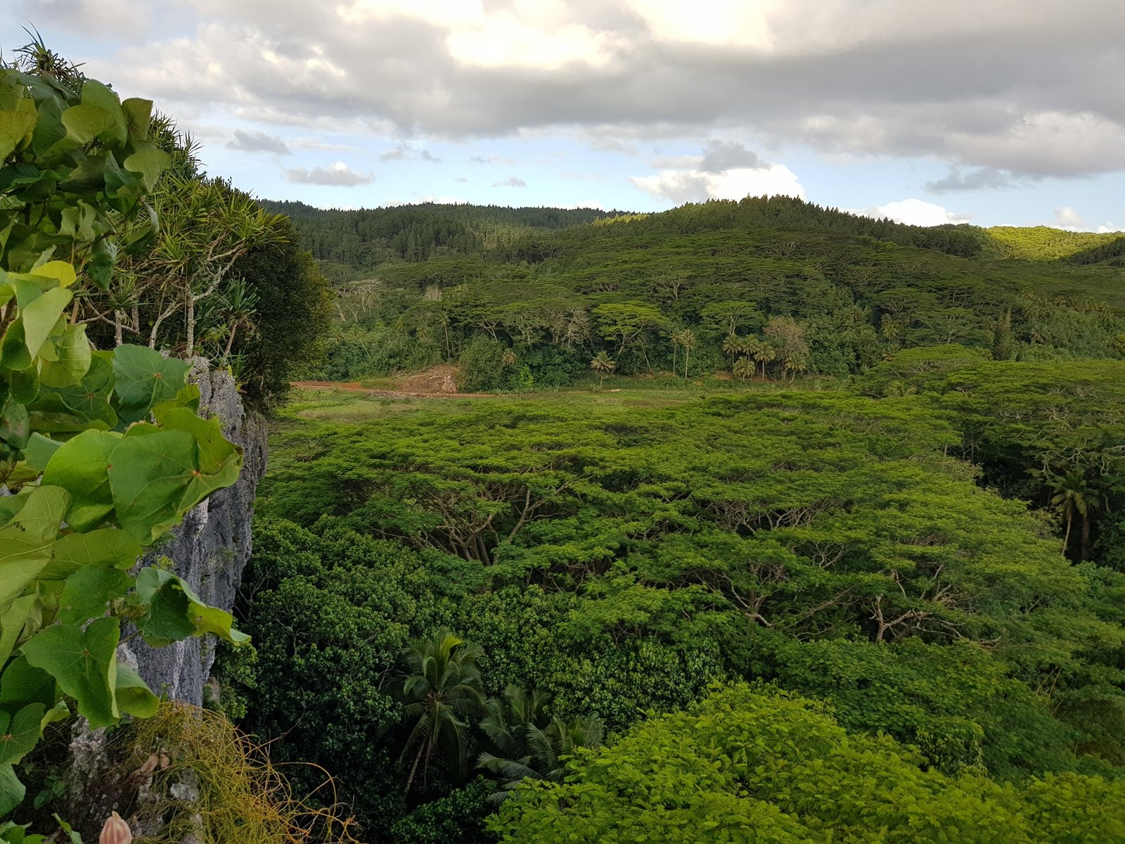 Te Pa'ata Lookout