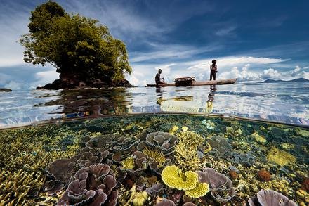 Kimbe Bay