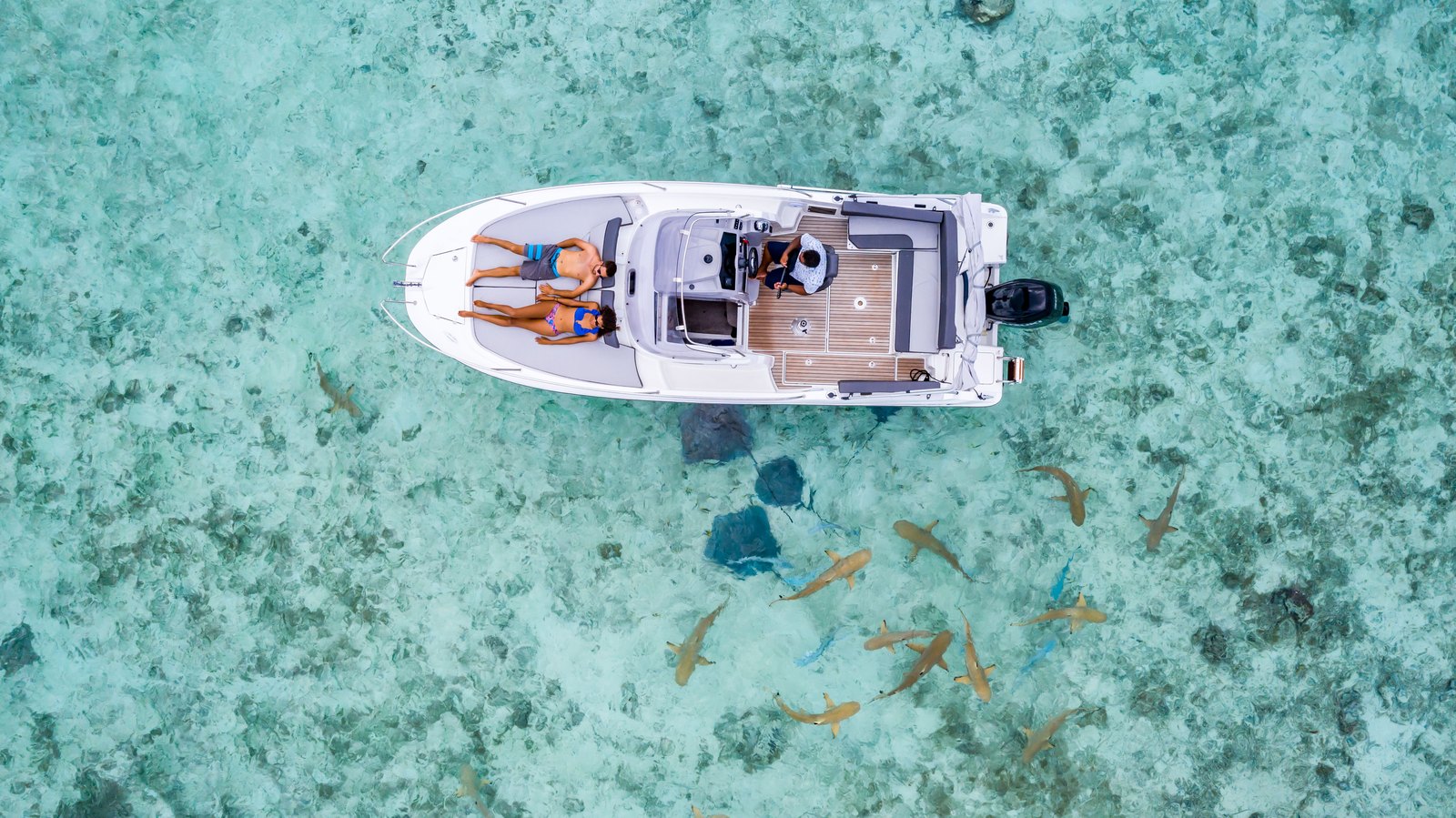 Moana Adventure Tours