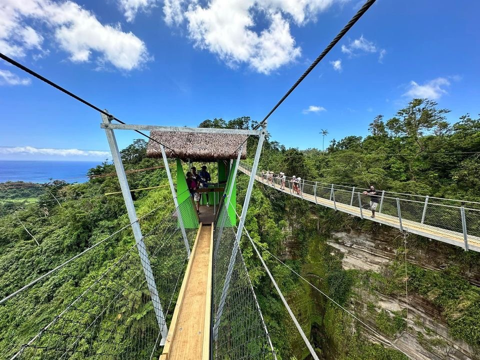 Vanuatu Jungle Zipline photo 5